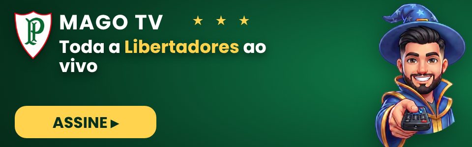 Mago TV — Libertadores (banner estrelas)
