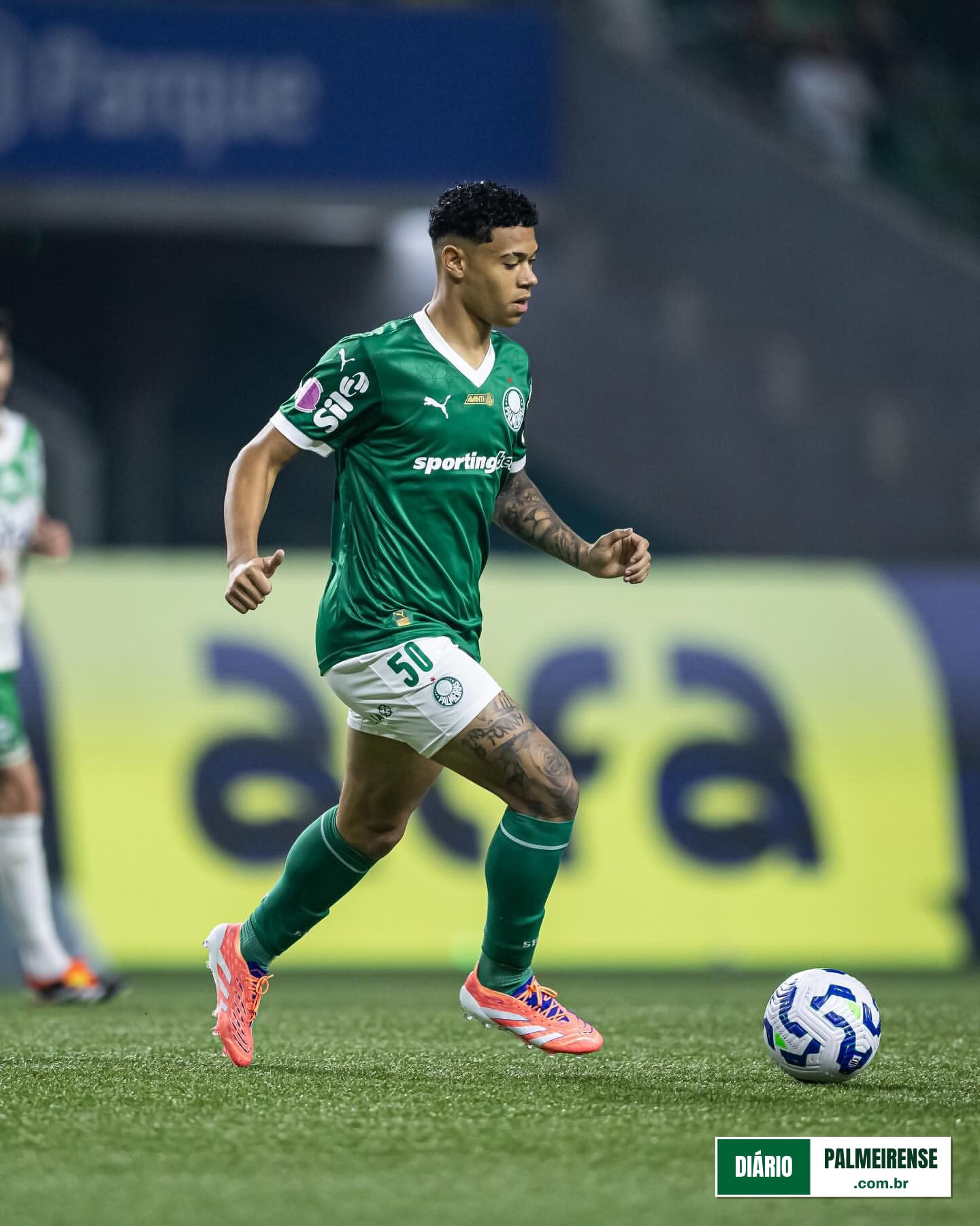 Luís Pacheco, Cria da Academia do Palmeiras.