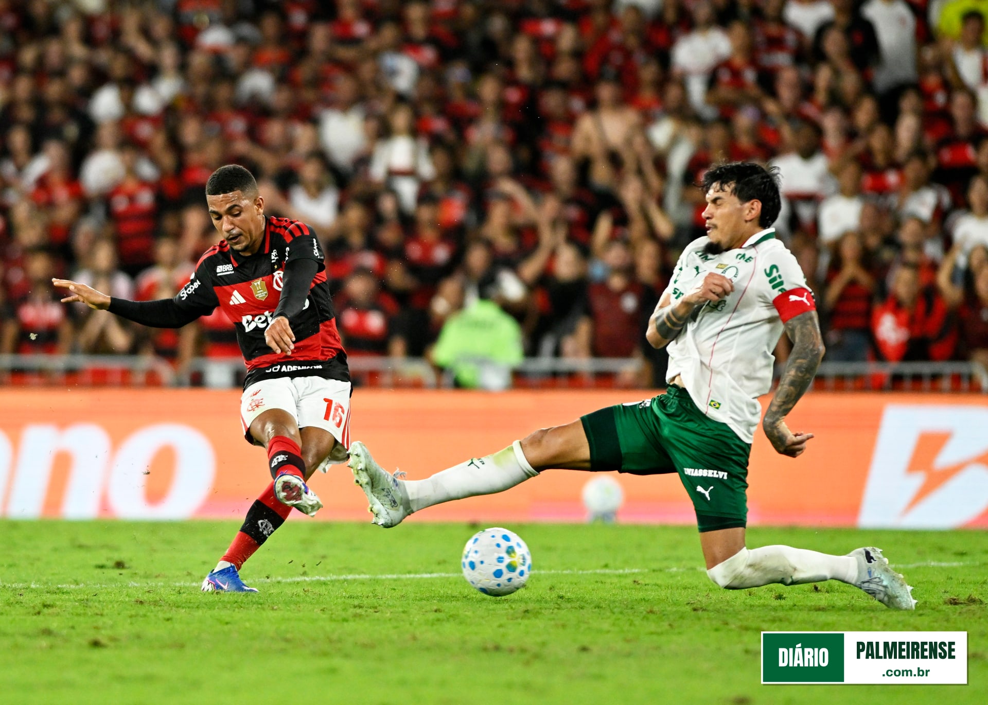 Palmeiras inicia semifinais sob perspectiva de novo reencontro com o Flamengo na decisão