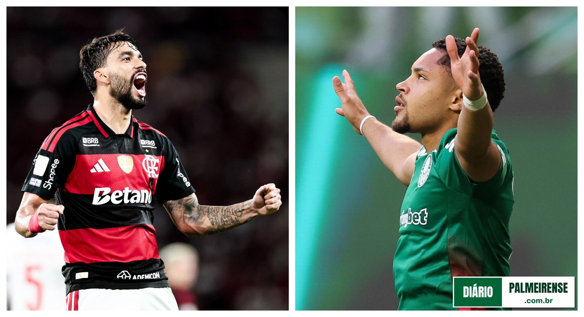 Reta final do Brasileirão: Palmeiras tem retrospecto a favor na caça à ponta