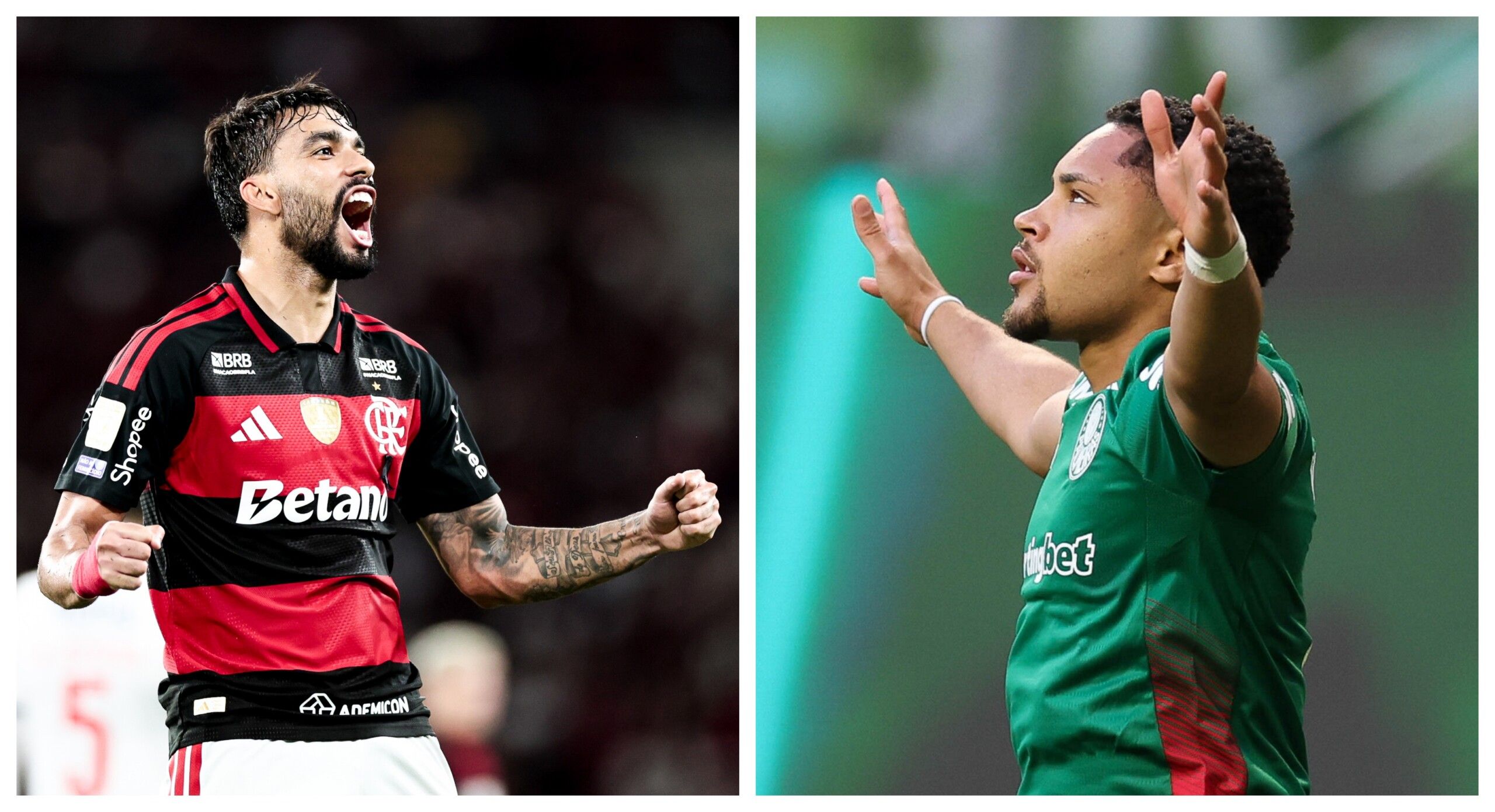 Reta final do Brasileirão: Palmeiras tem retrospecto a favor na caça à ponta