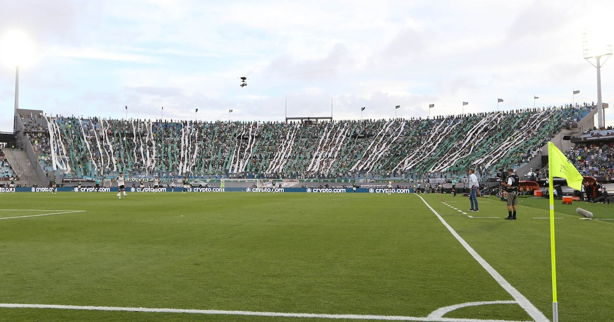 Final da Libertadores: Montevidéu define logística e CT para treinos do Palmeiras