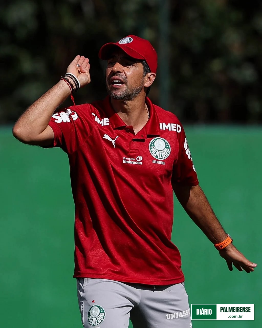 Regulamento da Libertadores livra Palmeiras de pendurados para a grande decisão
