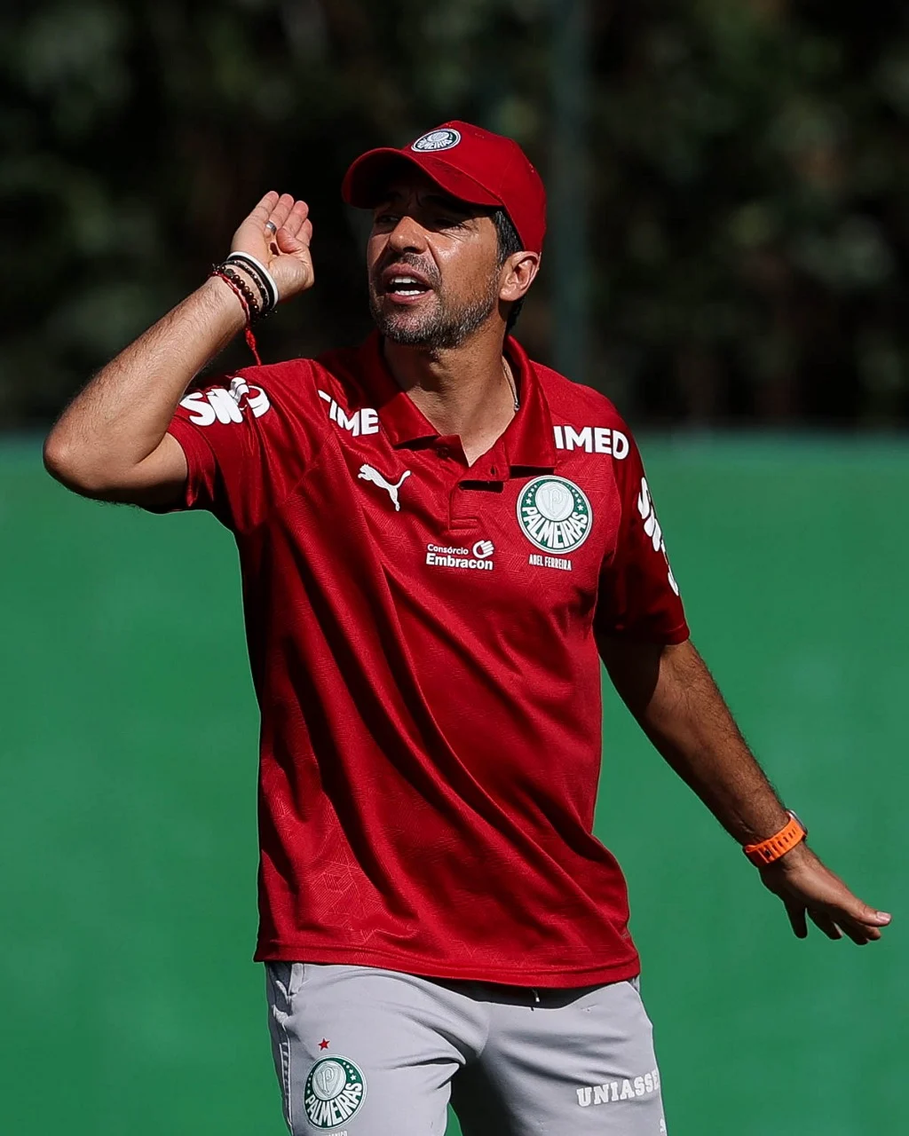 Regulamento da Libertadores livra Palmeiras de pendurados para a grande decisão