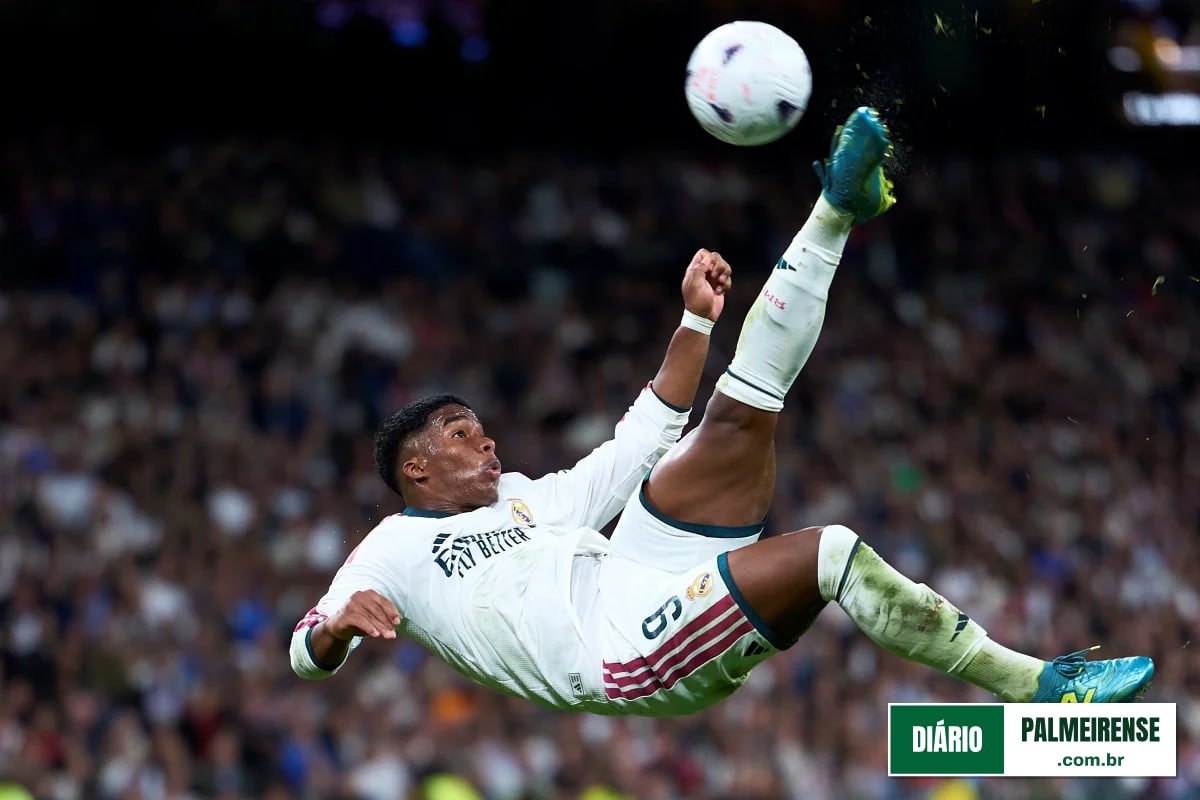 Palmeiras é apontado como a melhor base do Brasil e fica em 13º no ranking mundial