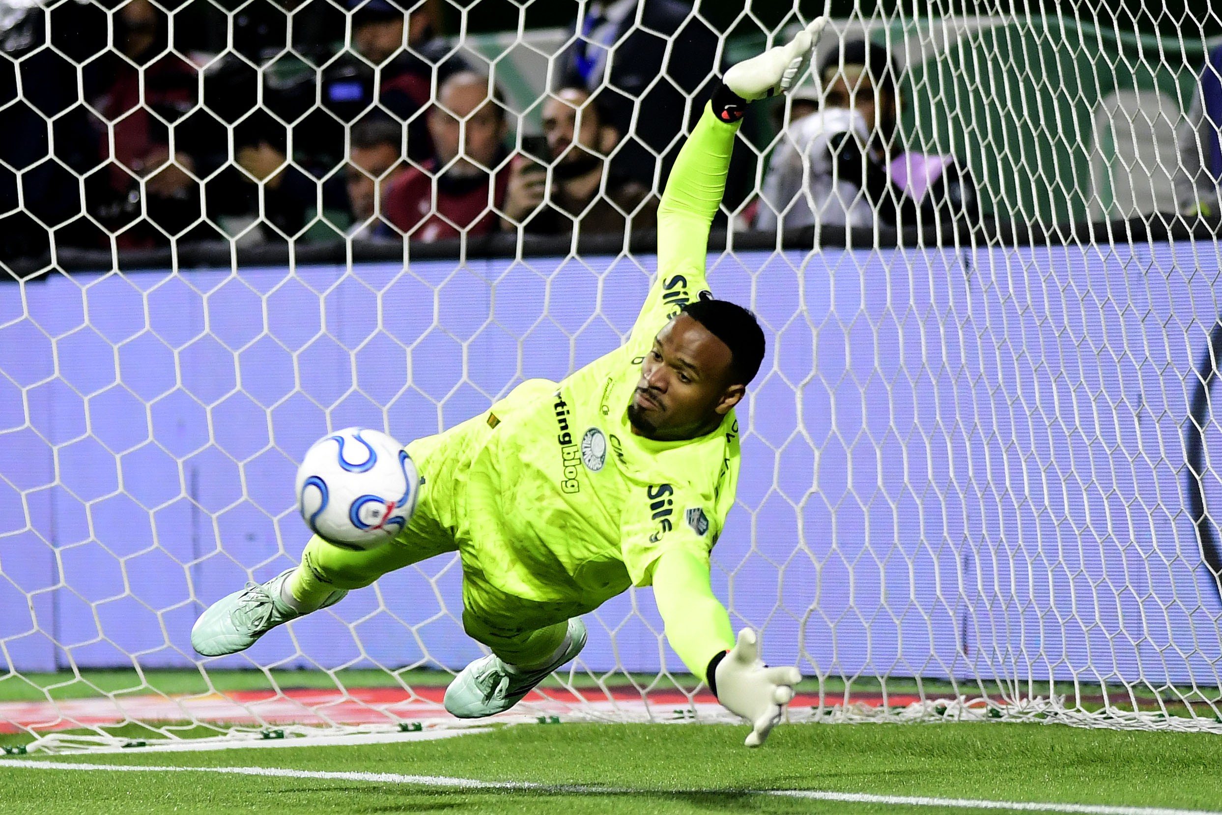Carlos Miguel iguala marca histórica de Marcos pelo Palmeiras na Libertadores
