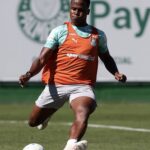Palmeiras retorna ao Campeonato Brasileiro após parada para Copa do Mundo