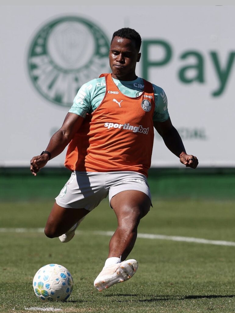 Palmeiras retorna ao Campeonato Brasileiro após parada para Copa do Mundo